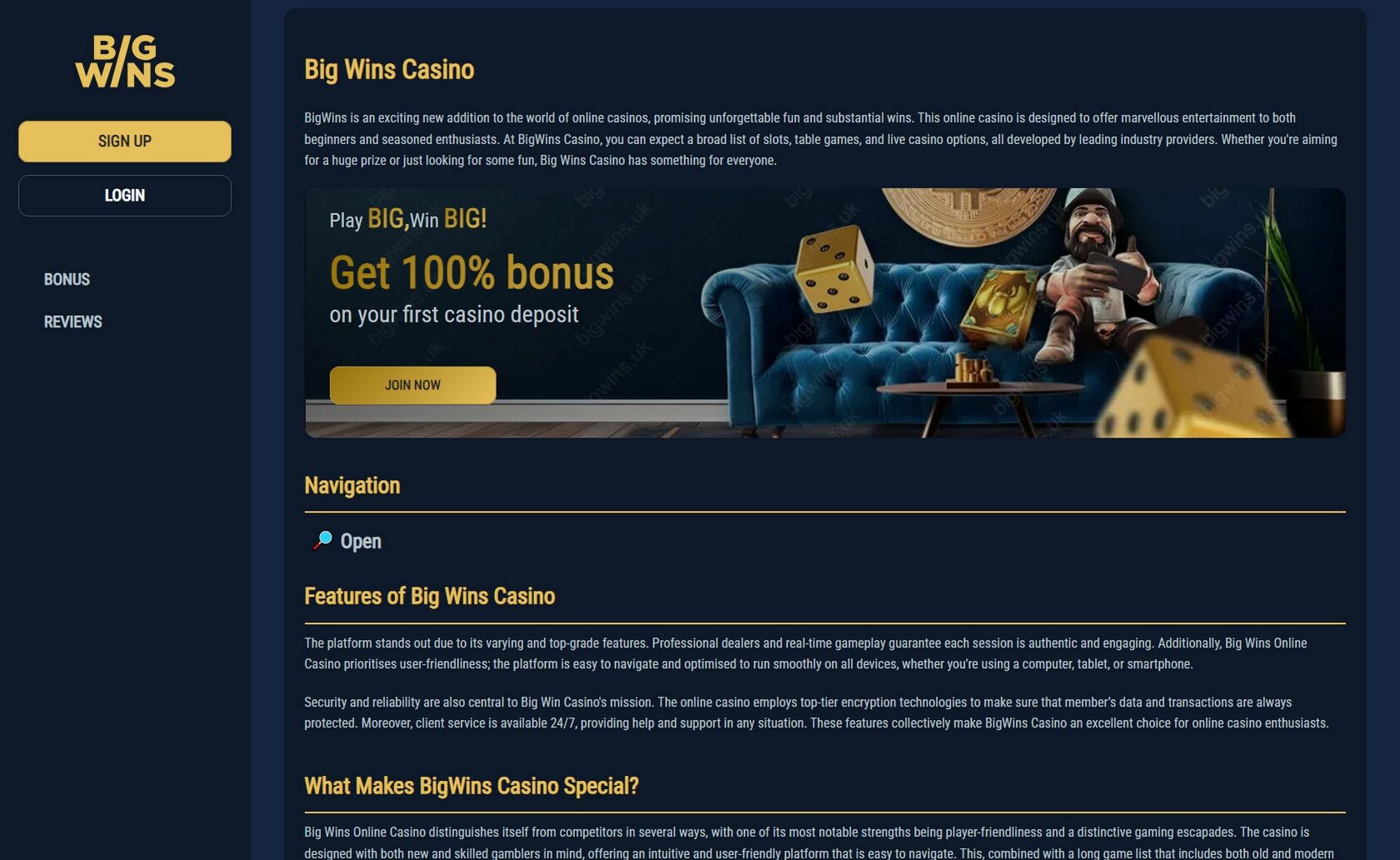 Bigwins Casino Site Evaluation